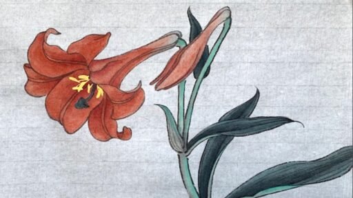 Gongbi Painting (1) - Introduction & Lily Flower