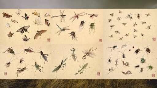 Insect Painting Course